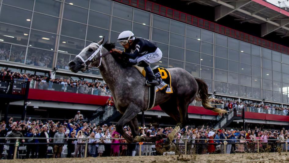 NTRA 3-year-old poll, Sierra Leone, Seize the Grey, Mystik Dan